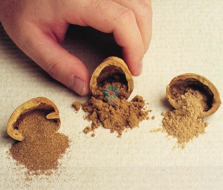Walnut Shell (Nut Plug)