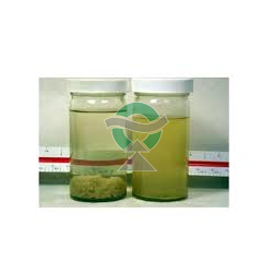 Biocide