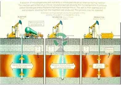 Surfactant PAL DD TECH